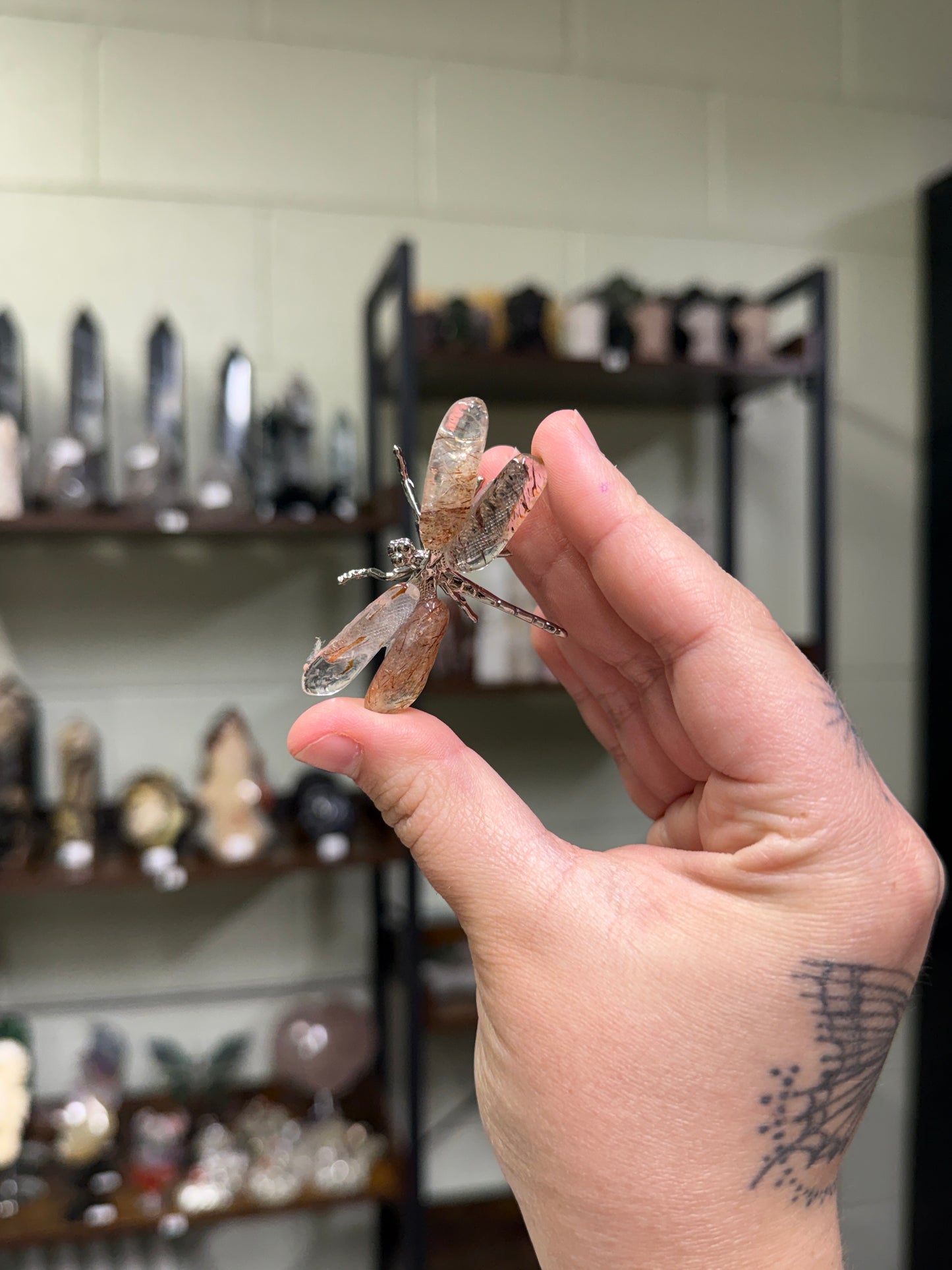 Mystery Chip Dragonflies