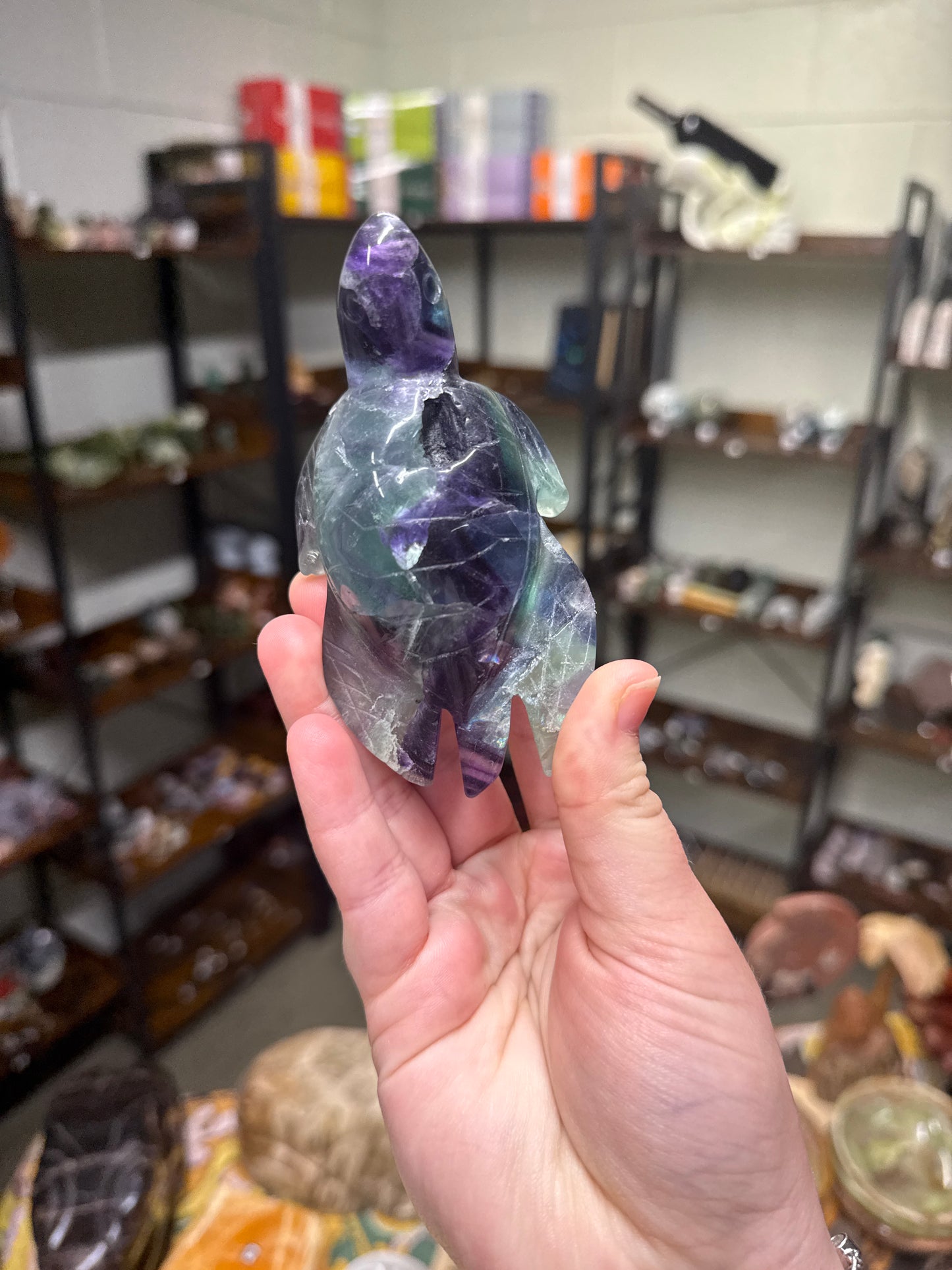 Custom Listing for Mariabuonadonna08