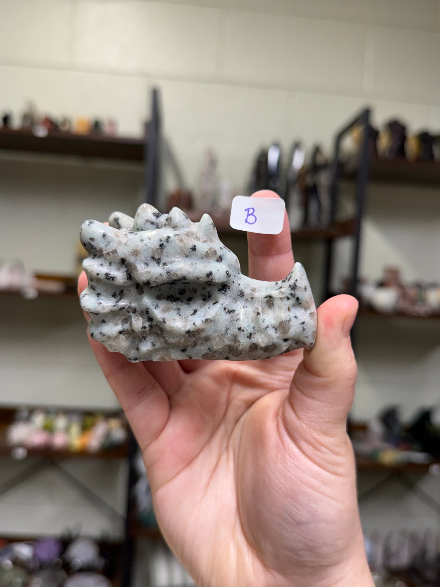 Kiwi Jasper Dragon Skull