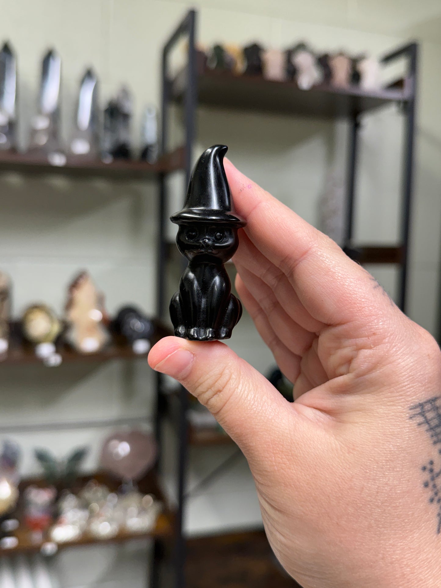 Obsidian Wizard Cats