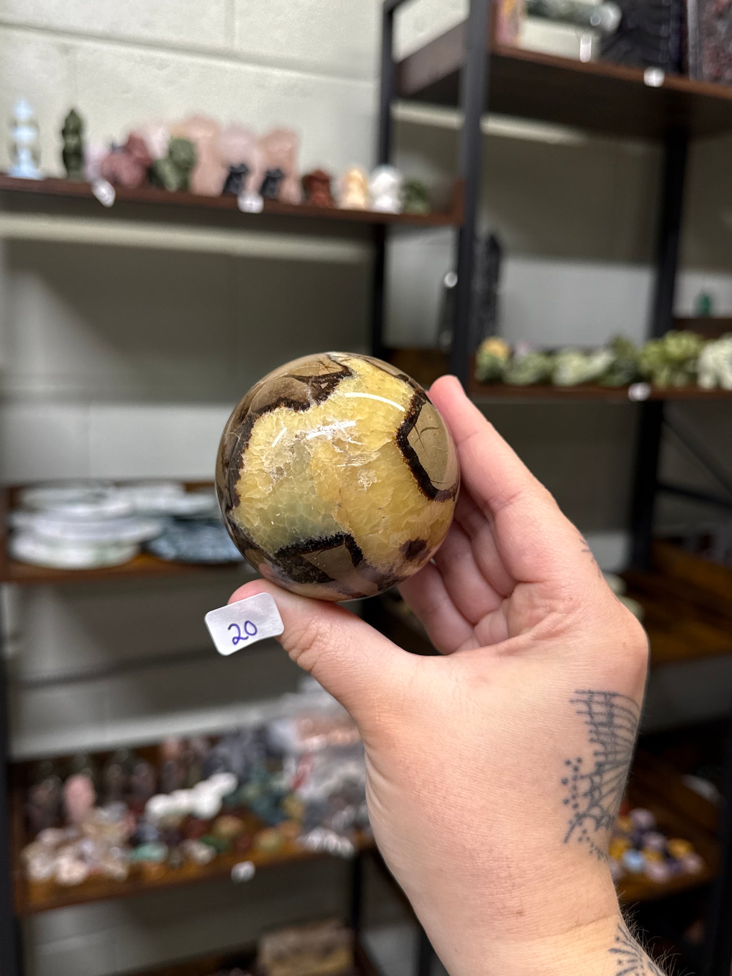 Septarian Spheres