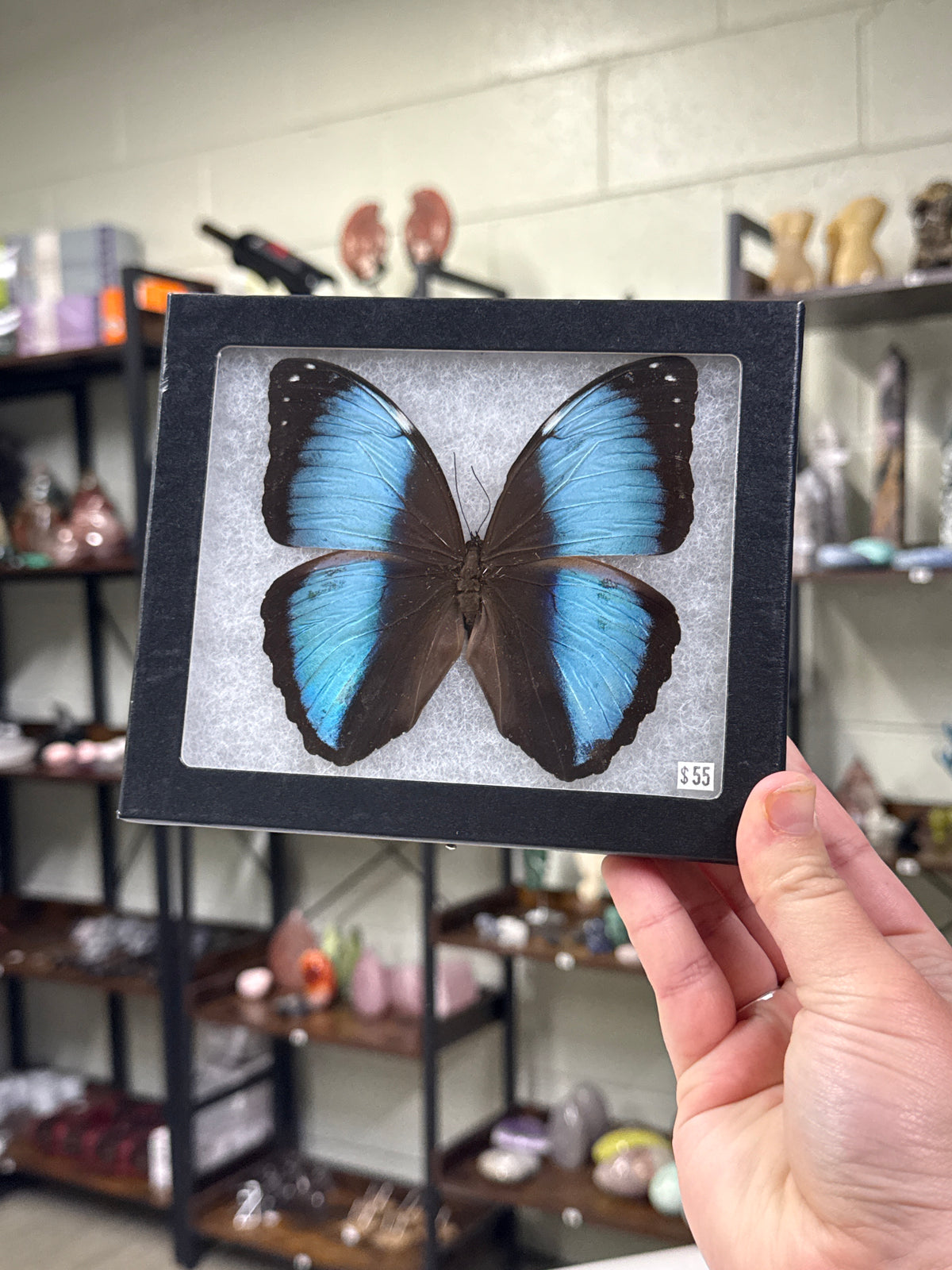 Custom Listing for Tmichelle269