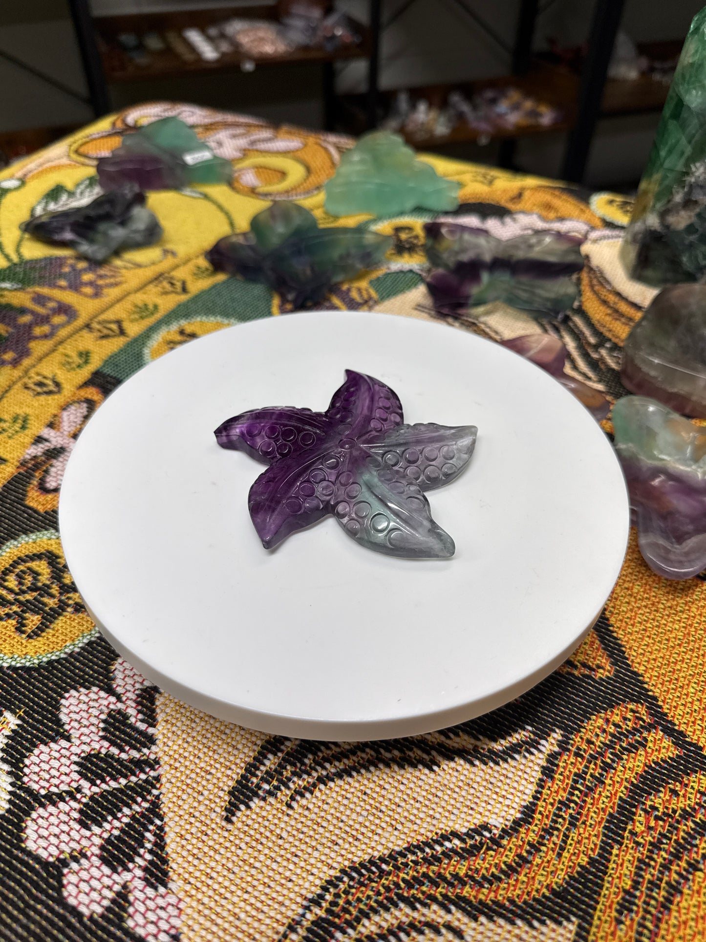 Custom Listing for Mariabuonadonna08