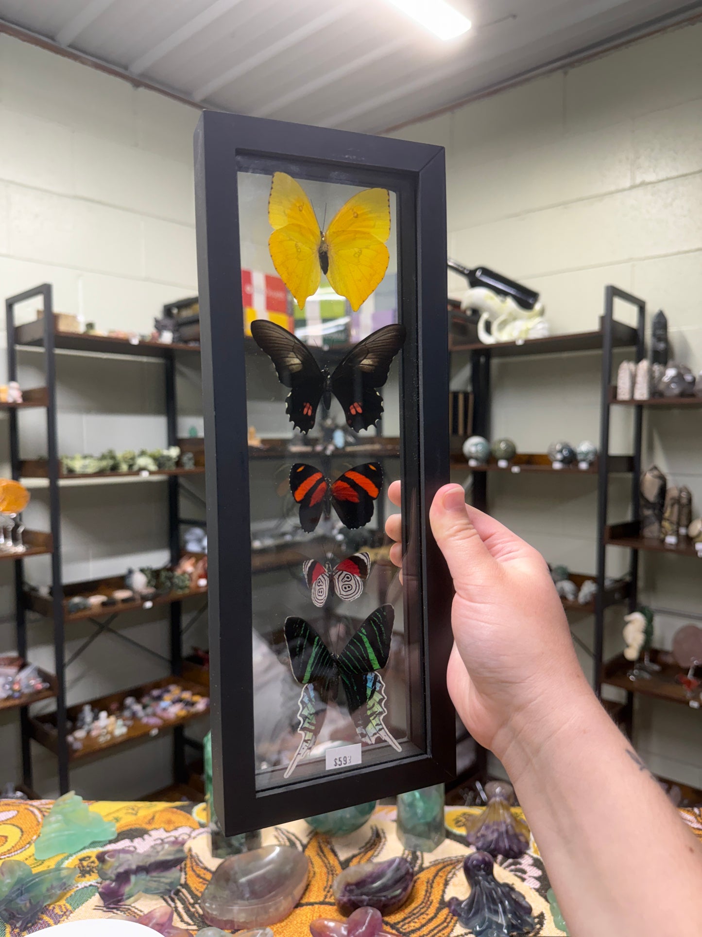Custom Listing for Rachstep711