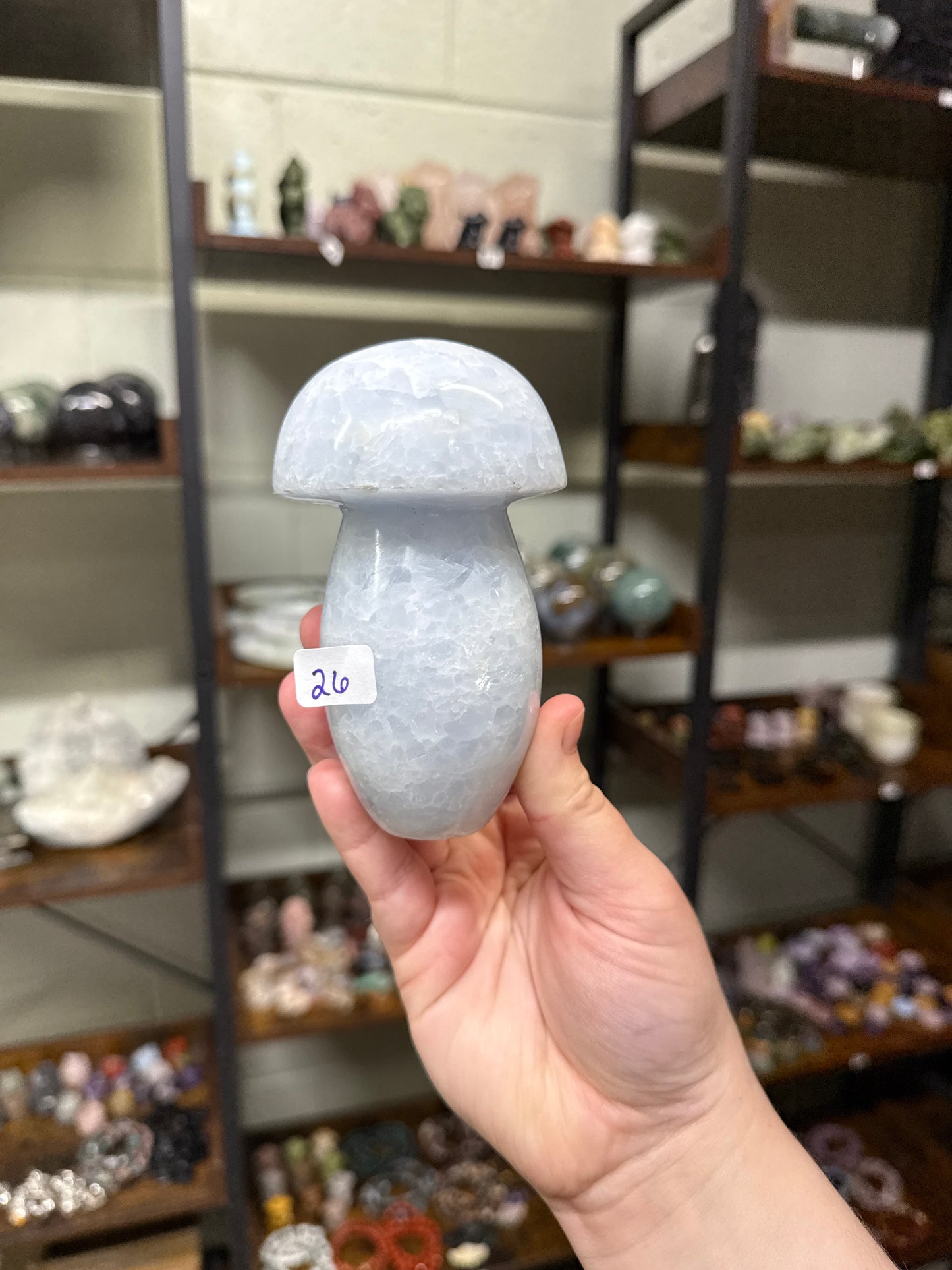 Blue Calcite Mushrooms