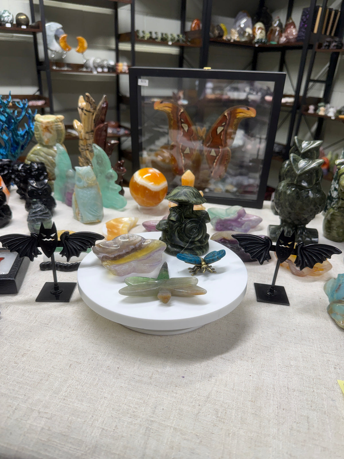 Custom Listing for Nadeenreichert
