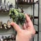 Jade Bisons