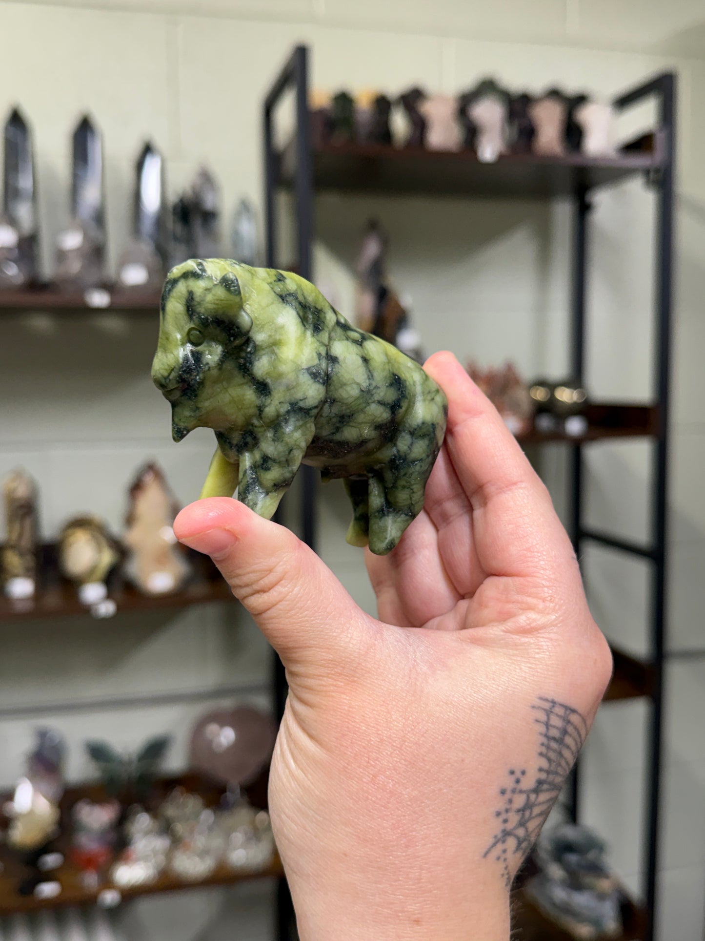 Jade Bisons