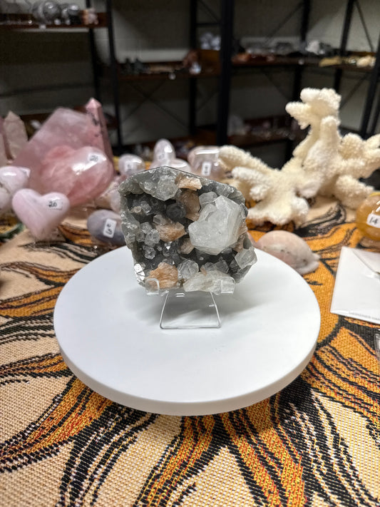 Custom Listing for Mariabuonadonna08