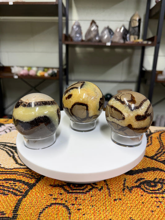 Septarian Spheres
