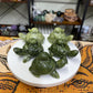 Jade Double Turtle Carving