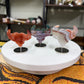 Bull Heads on Stands