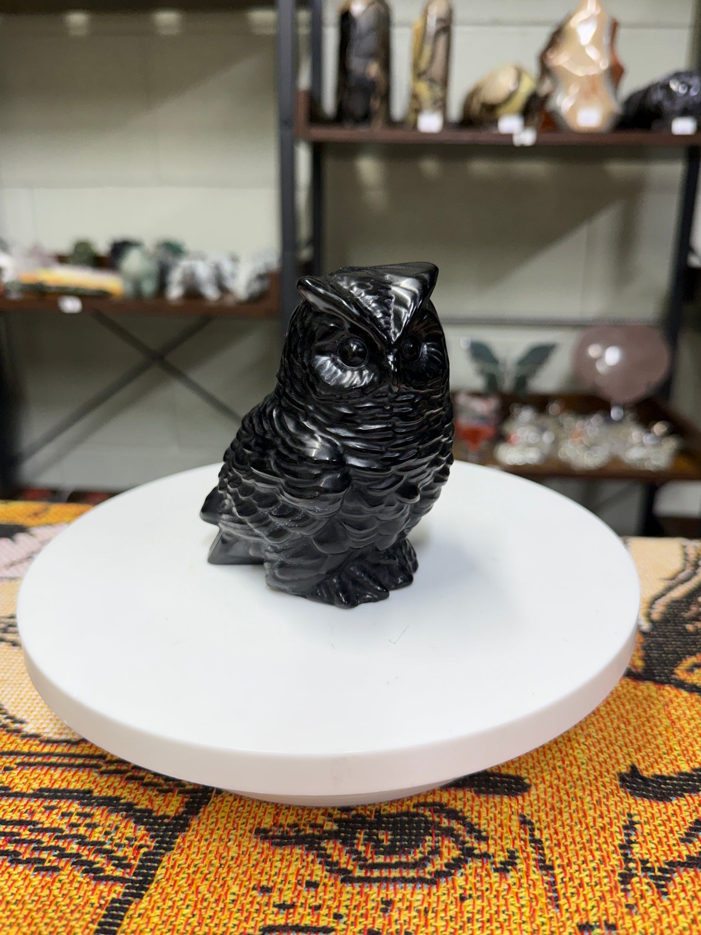 Obsidian Owl