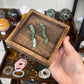Caterpillar Carvings