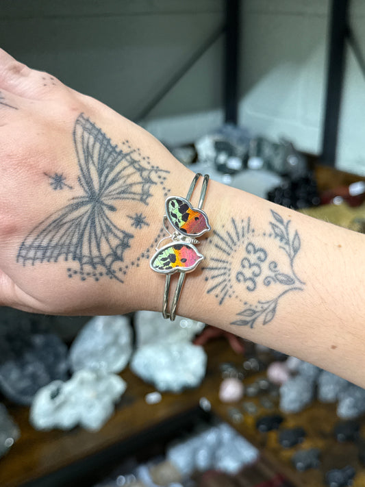 Real Butterfly Bangle (111a)
