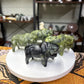 Jade Bisons