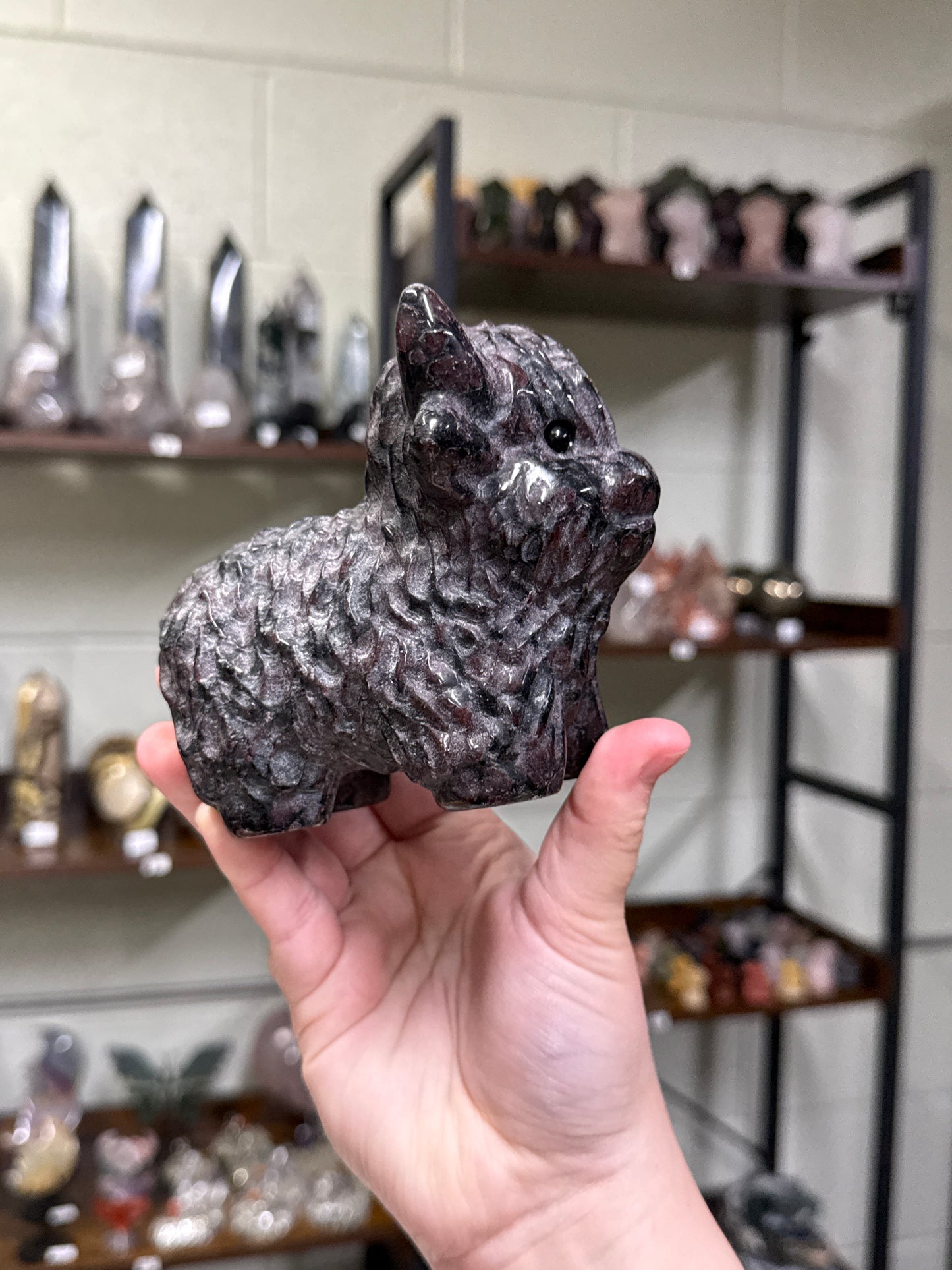 XL Garnet Highland Cow