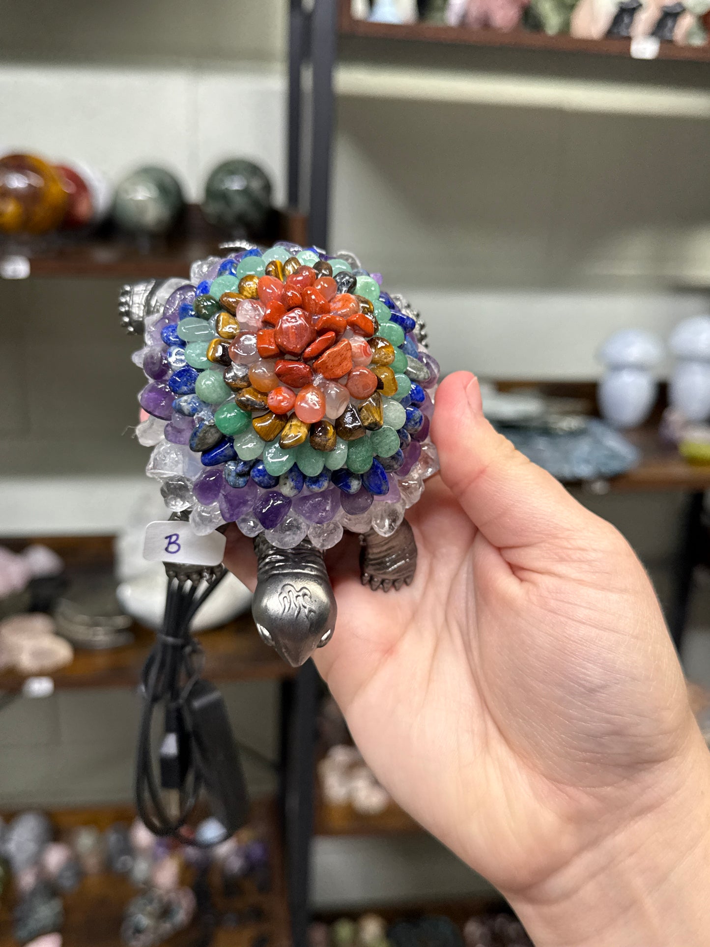Chakra Turtle Lamps