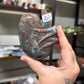 Sea Jasper Kidney (26)