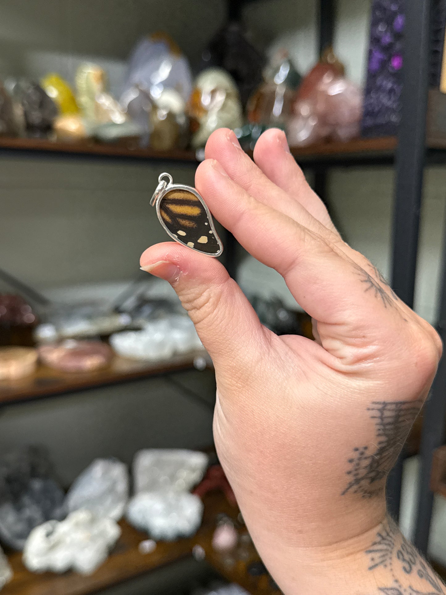 Real Monarch Butterfly Pendant