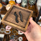 Caterpillar Carvings