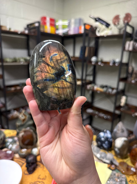 Custom Listing for Taylorstarr3