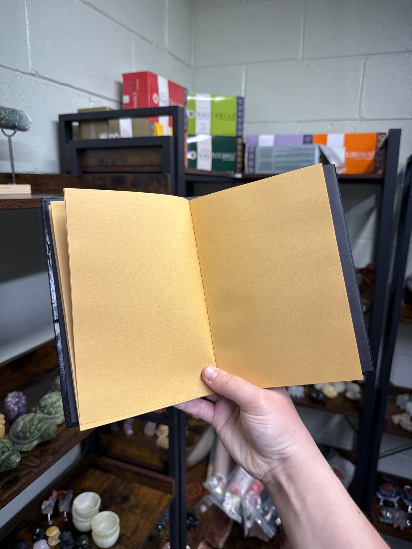 Dragon Journals