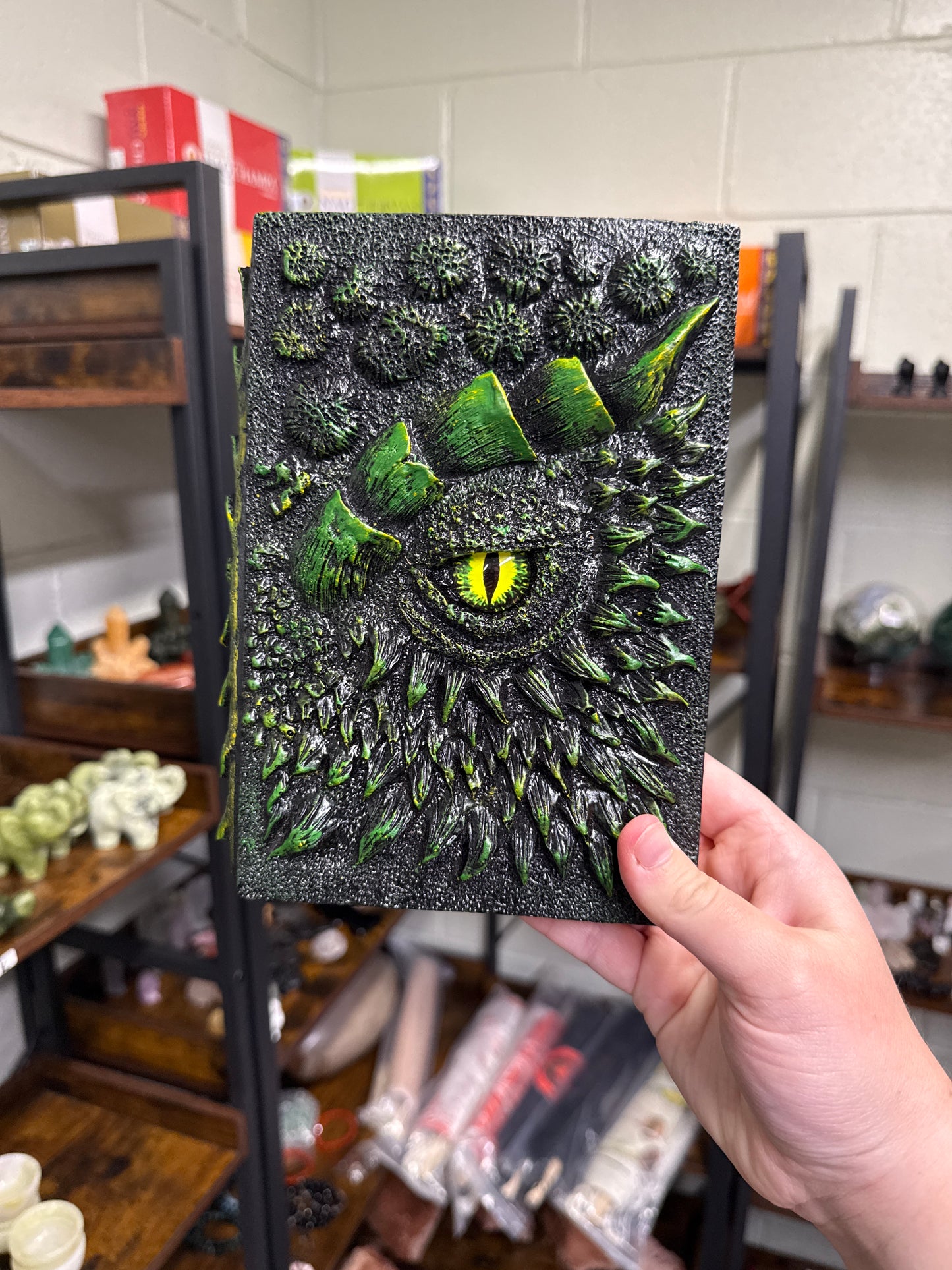 Dragon Journals