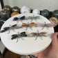 Mystery Chip Dragonflies