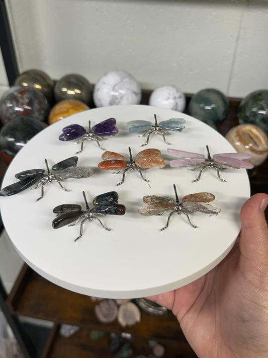 Mystery Chip Dragonflies