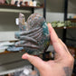 Sea Jasper Kidney (26)
