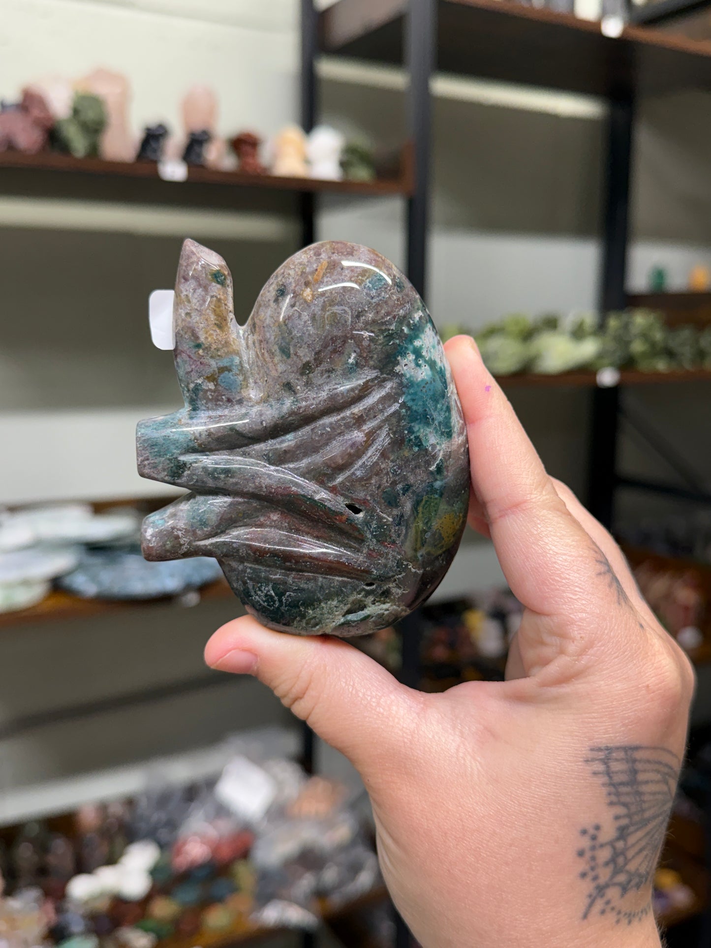 Sea Jasper Kidney (26)