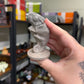 Picture Jasper Chameleon