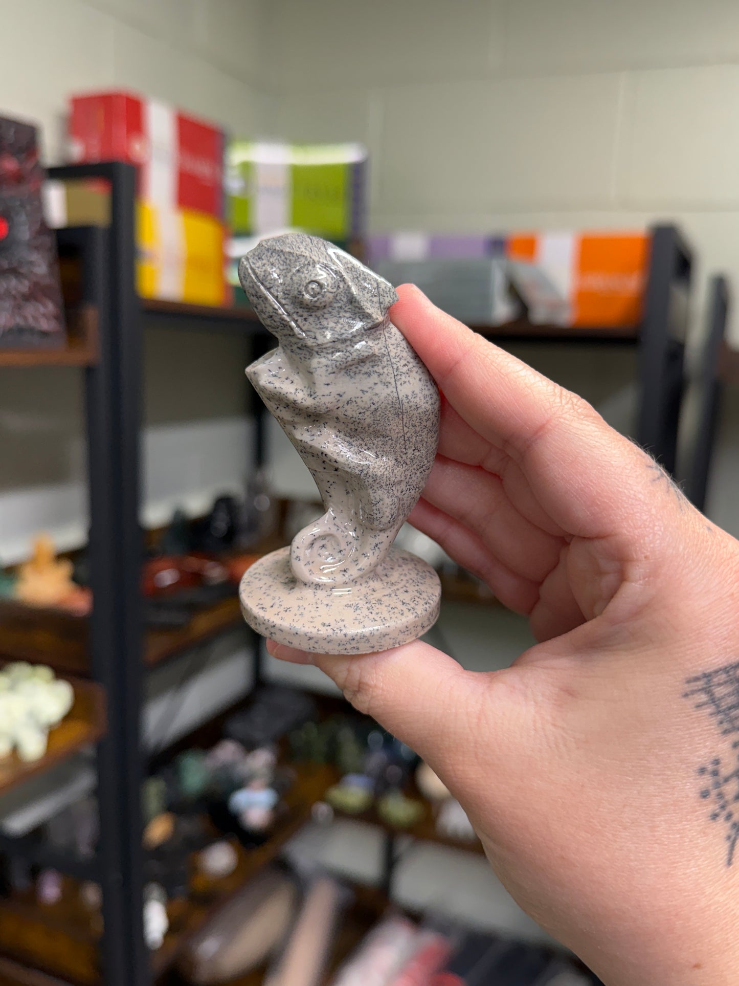 Picture Jasper Chameleon