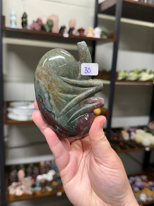 Sea Jasper Kidney (30)