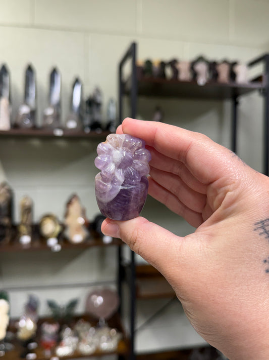 Amethyst Sunflower
