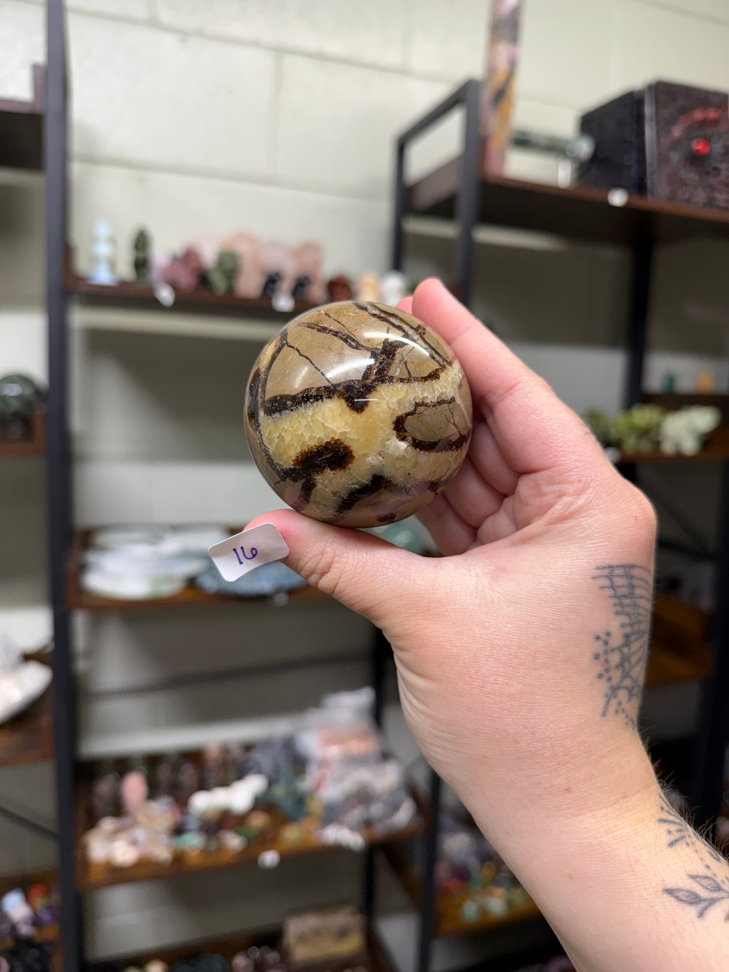 Septarian Spheres