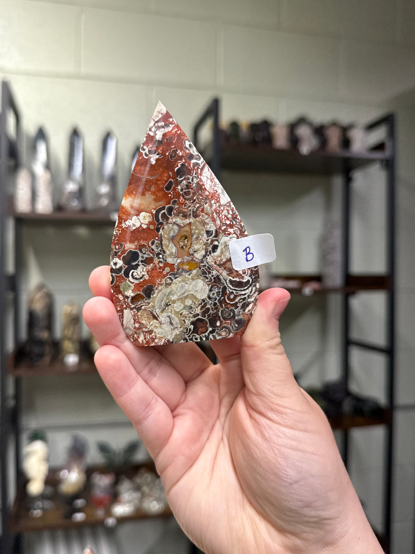 Money Agate Freeforms