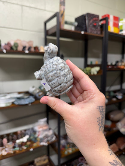 Kiwi Jasper Turtle