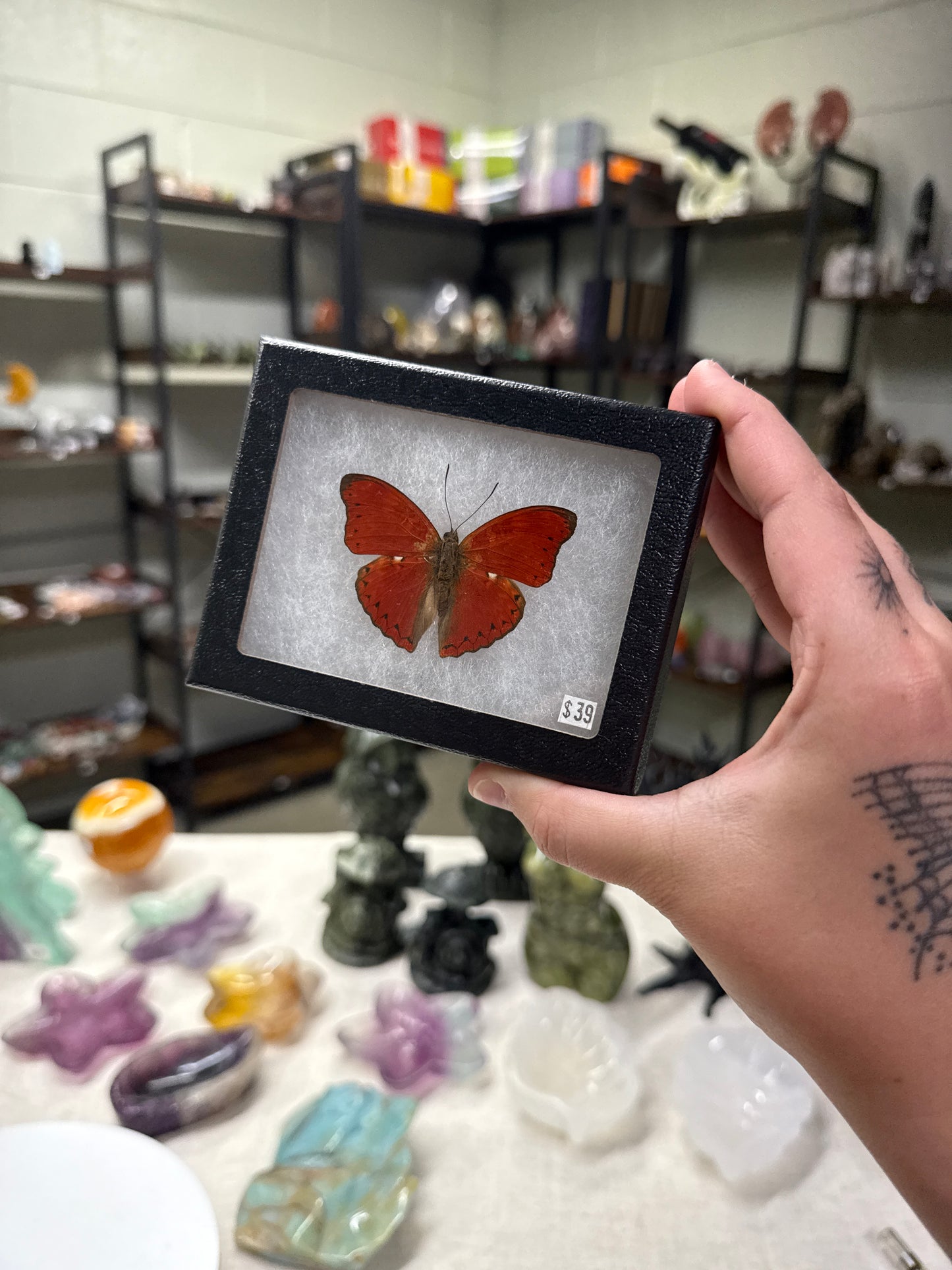 Custom Listing for  Ohsnapitzamaris