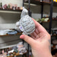 Kiwi Jasper Turtle