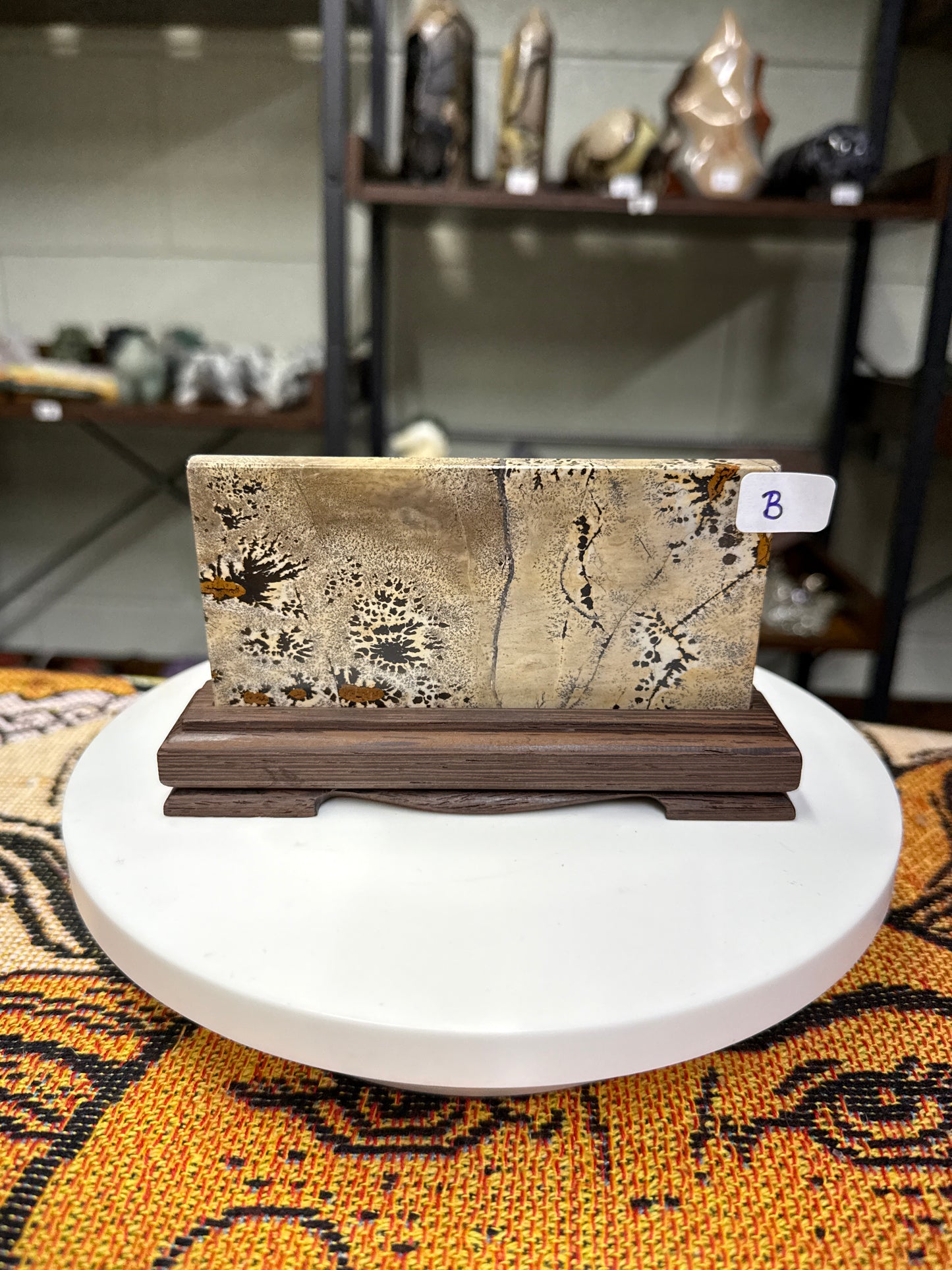 Picture Jasper Slab (B)
