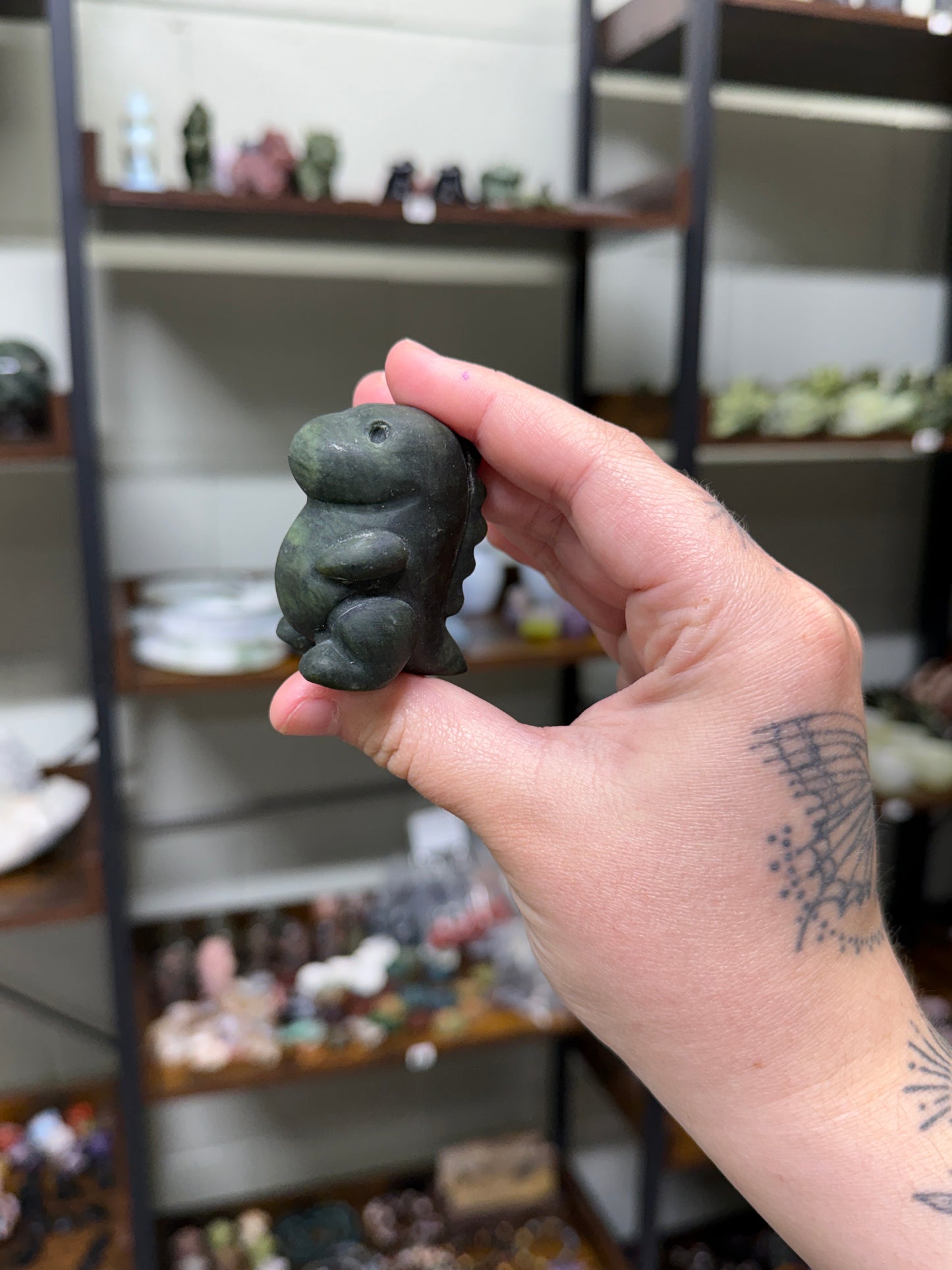 Chubby Dinos