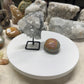 Custom Listing for Maemini072