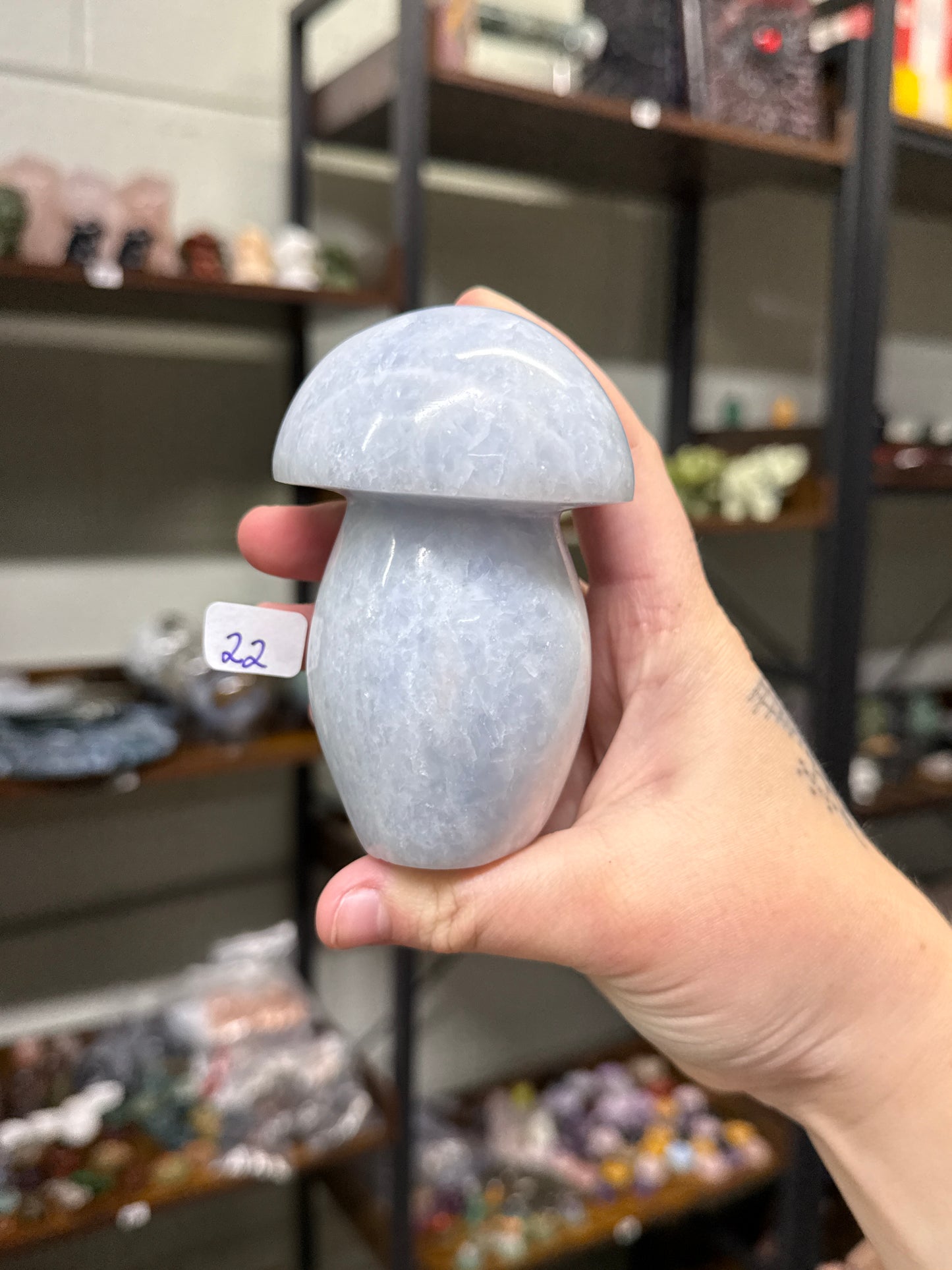 Blue Calcite Mushrooms