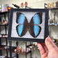 Custom Listing for Tmichelle269