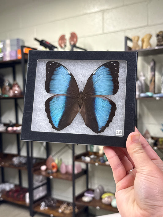 Custom Listing for Tmichelle269