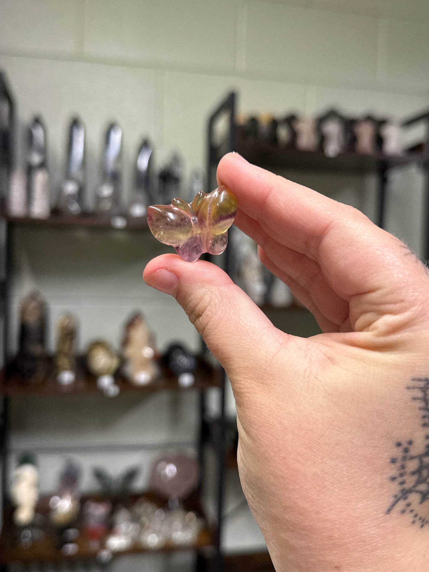 Candy Fluorite Butterflies