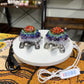 Chakra Turtle Lamps