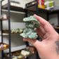 Tree Agate Cowboy Cat